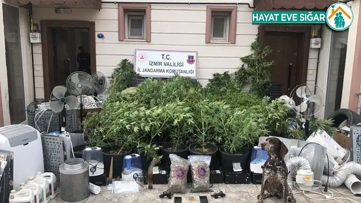 İzmir'de uyuşturucu serasına operasyon: 4 gözaltı