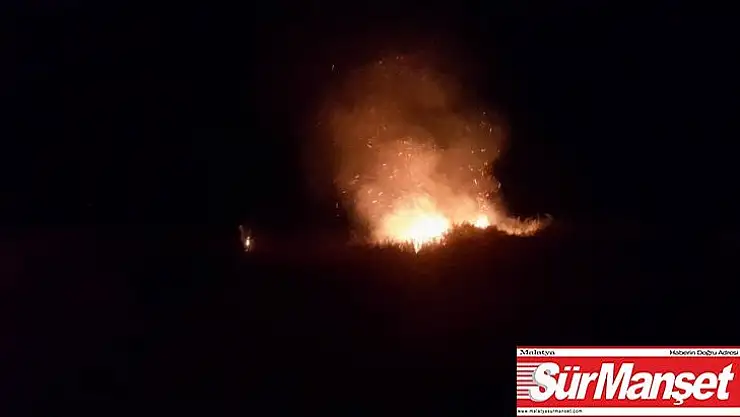 İznik'te çalılık alandaki yangın korkuttu