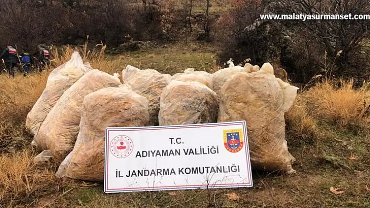Jandarma çalınan tütünleri dere yatağında buldu