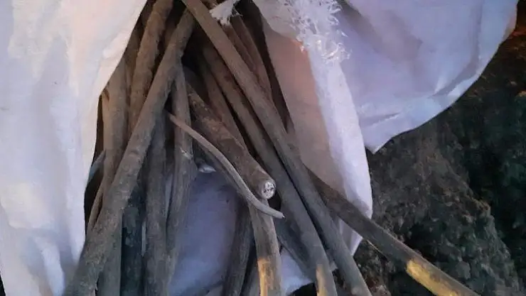 Jandarma ekiplerinden hırsızlara suçüstü yapıldı