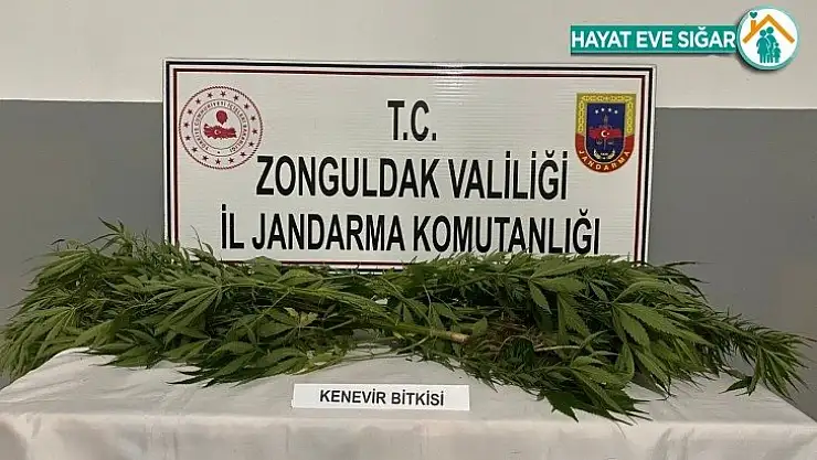 Jandarmadan uyuşturucu operasyonu: 2 gözaltı