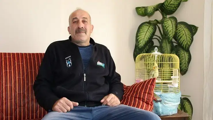 Kahraman şoför yaralı yavru kediyi hayata bağladı
