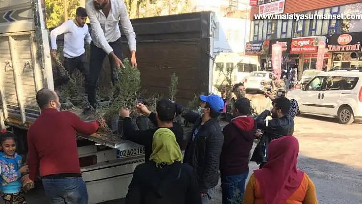 Kahta'da 20 bin fidan dağıtıldı