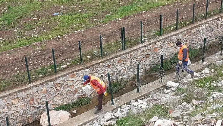 Kahta'da park ve bahçelerde hummalı dezenfekte çalışmaları