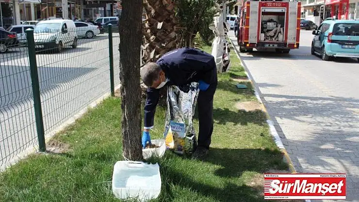 Kahta'da sokak hayvanları için mama ve su bırakılıyor