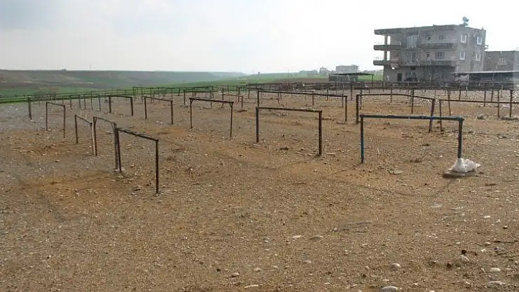 Kahta Hayvan pazarı kapatıldı