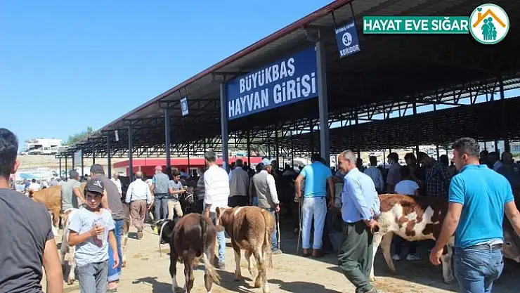 Kahta Kapalı Hayvan Pazarı hizmete açıldı