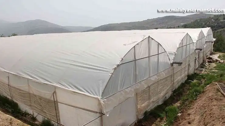 Kara kışta zarar gören seralar yeniden üretime geçti