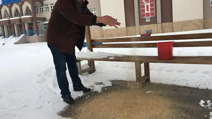 Karda aç kalan kuşlar için doğaya yem bırakıldı