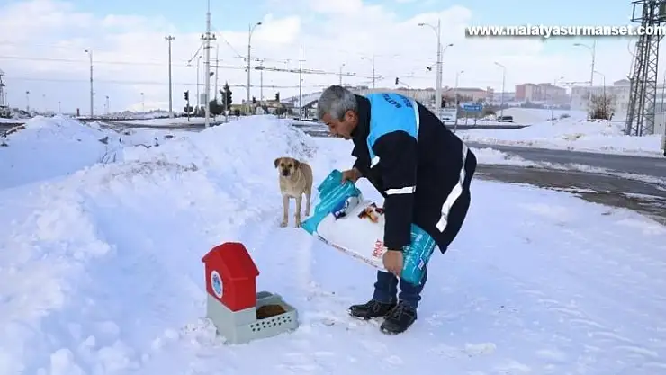 Karlı ve soğuk havada Battalgazi'deki can dostlar unutulmadı