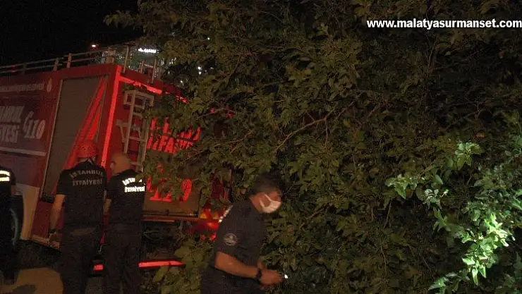 Kartal'da çürük dut ağacı park halindeki aracın üzerine devrildi
