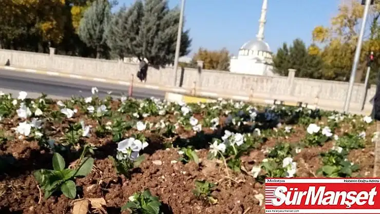 Kavşaklar rengarenk oldu