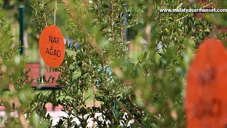 Kayapınarlı çocuklara 'ekolojik ve atıksız' yaşamın örnekleri anlatılıyor