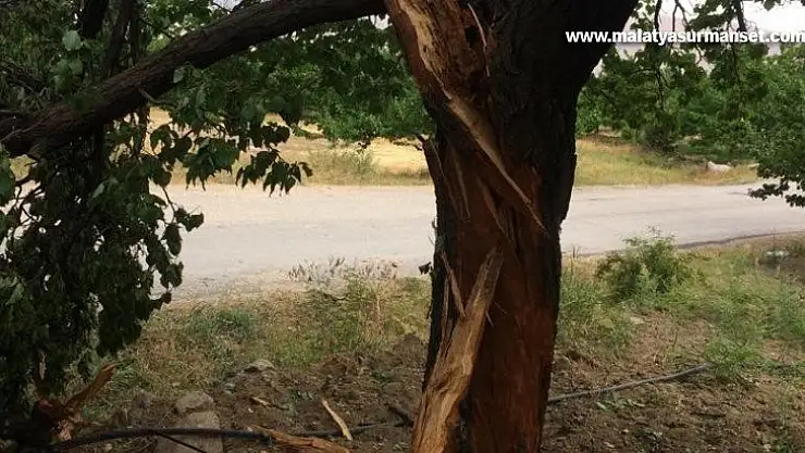 Kayısı bahçesine yıldırım düştü