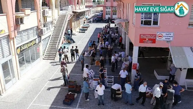 Kayısı, bu sezon üreticisinin yüzünü güldürecek