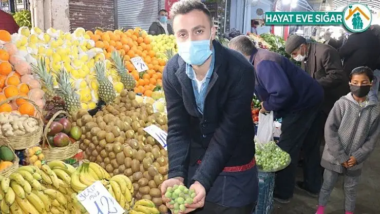 Kayısı kenti Malatya'da Mut kayısı satılıyor