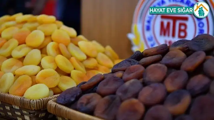 Kayısıda ilk 10 ayda 207 milyon dolar gelir