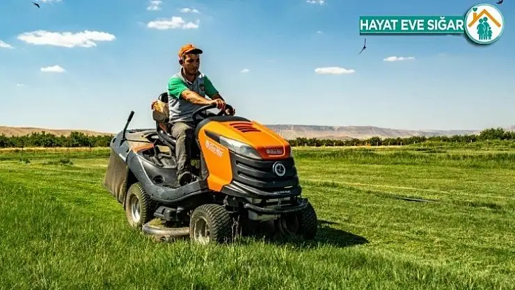 Kendi çimini üretiyorlar