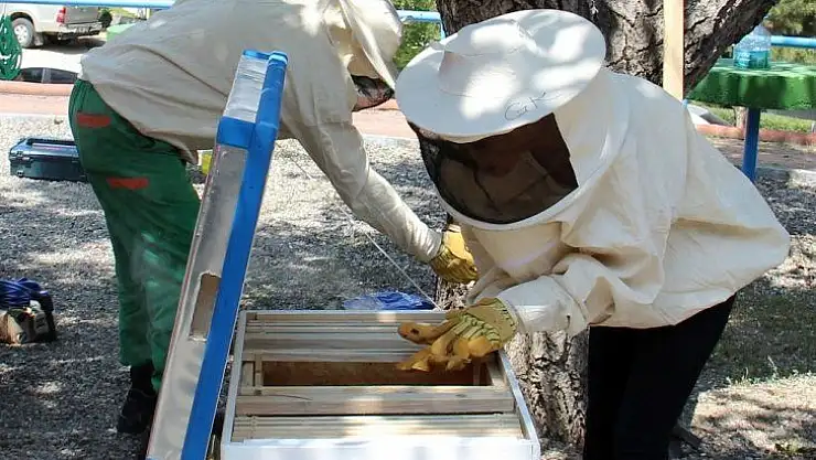 Kent Tarım'da ücretsiz eğitim fırsatı