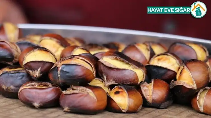 Kışın habercisi kestane hem el hem cep yakıyor