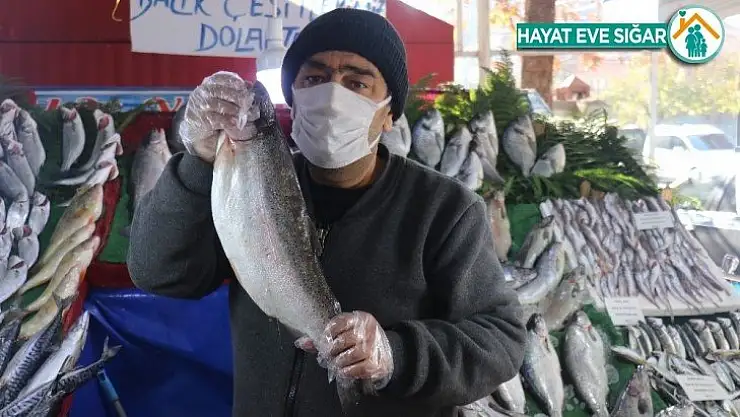 Kısıtlamada vatandaşlardan balıklara yoğun ilgi