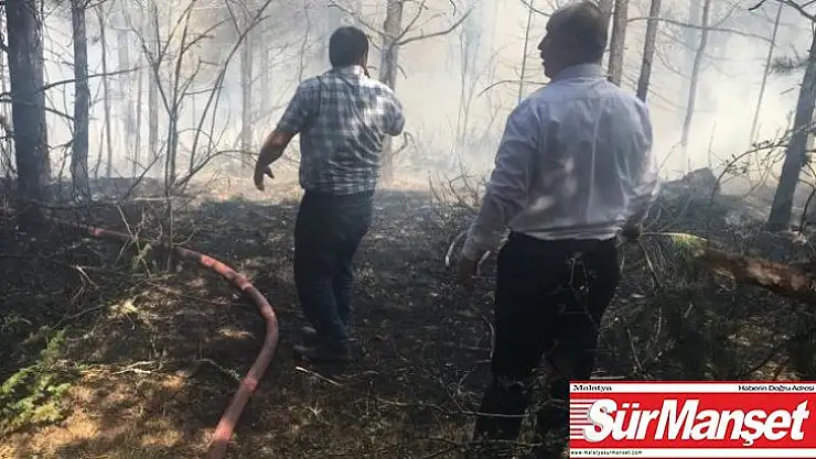 Kızılcahamam Üyücek yaylasında yangın