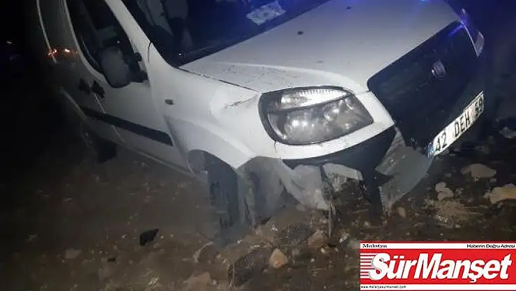Köpeğe çarpan araç yoldan çıktı: 1 yaralı