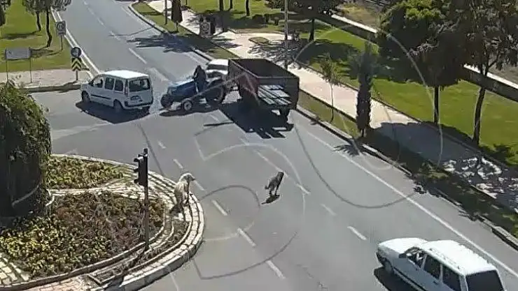 Köpeğe çarpmamak için durdu, traktör ona çarptı, kaza anları kamerada