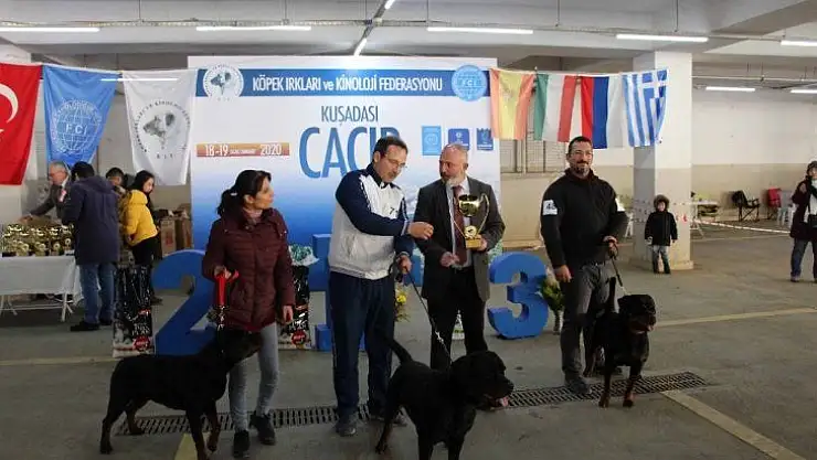Köpek ırkları yarışması sona erdi