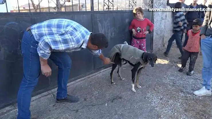 Köpek yumurtaları yedi, tüfek, taş ve sopalar konuştu: 3 yaralı