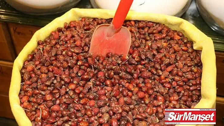 Korona virüse karşı bitkisel ürünlere talep arttı