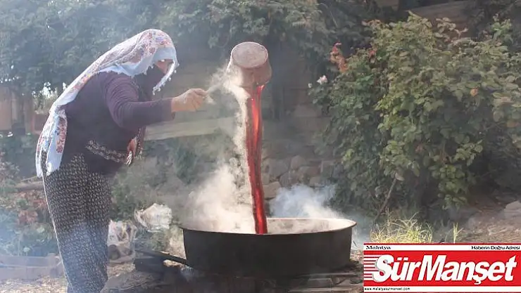 Köylerde şifa kaynağı 'Pekmez' mesaisi