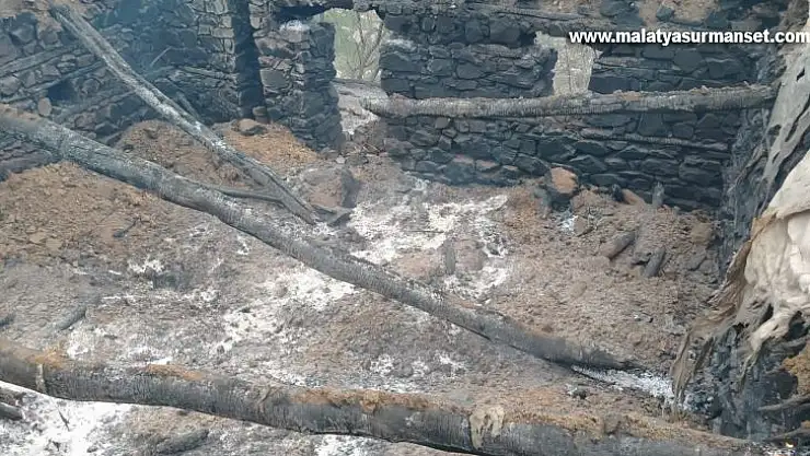 Kulp'ta ahır yangını: 76 hayvan telef oldu