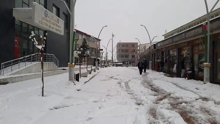 Kulp'ta okullar kar nedeni ile bir gün tatil edildi