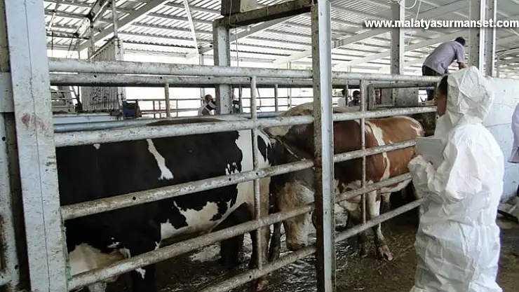 Kurban Bayramı öncesi sıkı kontrol