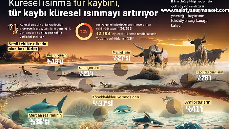 Küresel ısınma tür kaybını, tür kaybı küresel ısınmayı artırıyor
