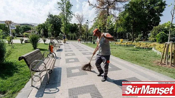 Kuruyan ağaçların yerine yenileri dikildi