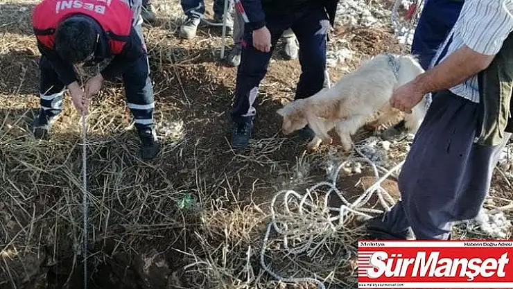 Kuyuya düşen oğlak kurtarıldı