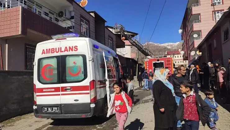 Lice'de korkutan yangın: 2 yaralı