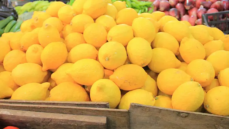 Soğuk Hava Dalgası Limon Politikalarını Değiştirdi