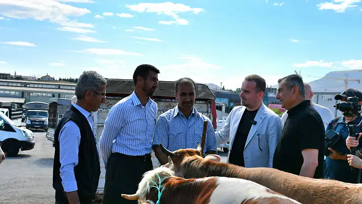 MAGİNDER Başkanı Karademir Hayvan Pazarında Pazarın Nabzını Tuttu