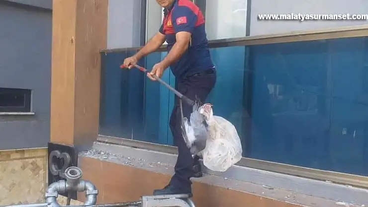 Mahsur kalan güvercini itfaiye ekipleri kurtardı