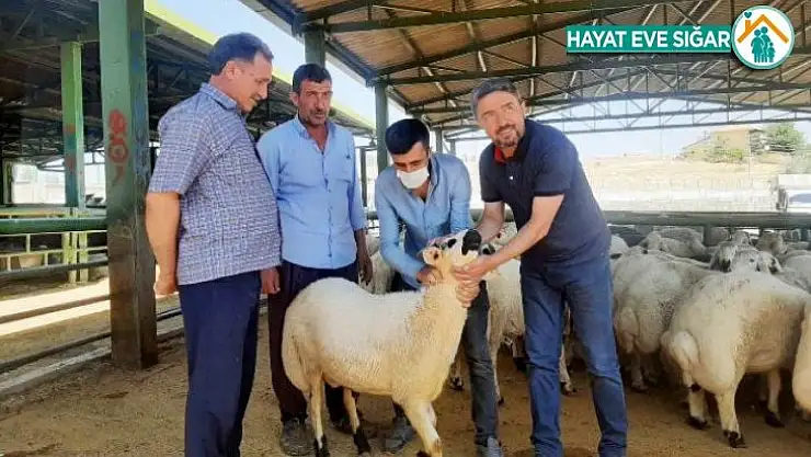 Malatya Çiftçisinin Zirai Kredi Borçları Ertelenmiyor..