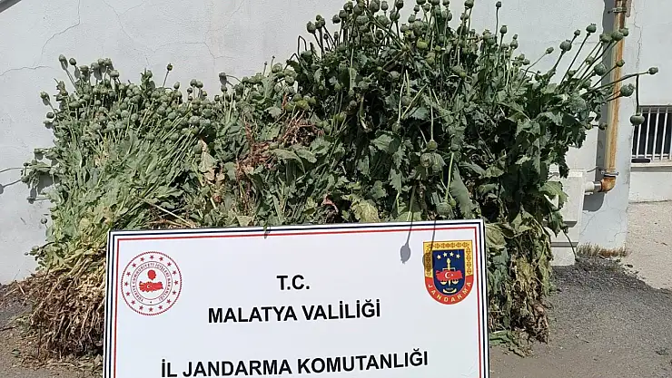 Malatya'da 18'i kesinleşmiş hapis cezası bulunan 30 kişi yakalandı