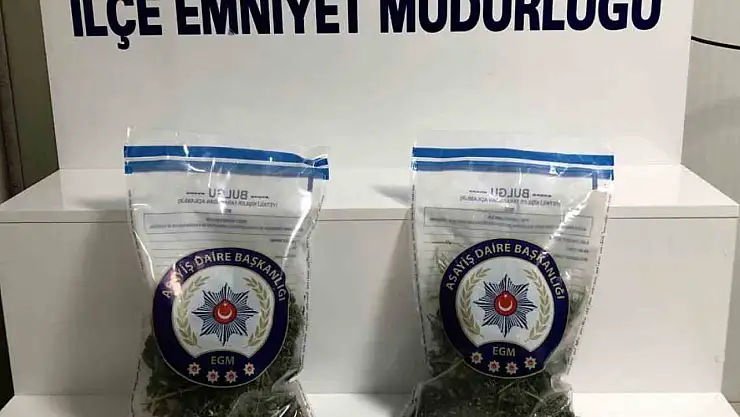Malatya'da 752 gram esrar ele geçirildi: 1 kişi tutuklandı