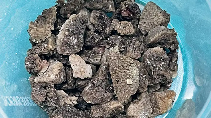 Malatya'da 8 Santimlik Geyik Boynuzu Taş Çıkarıldı