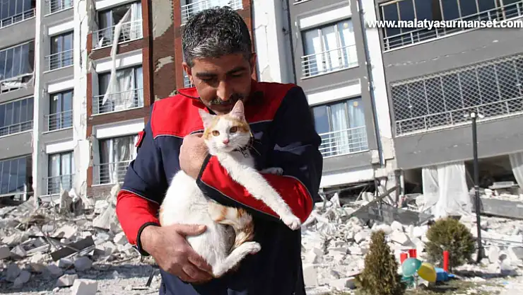 Malatya'da ağır hasarlı binada mahsur kalan kedi kurtarıldı