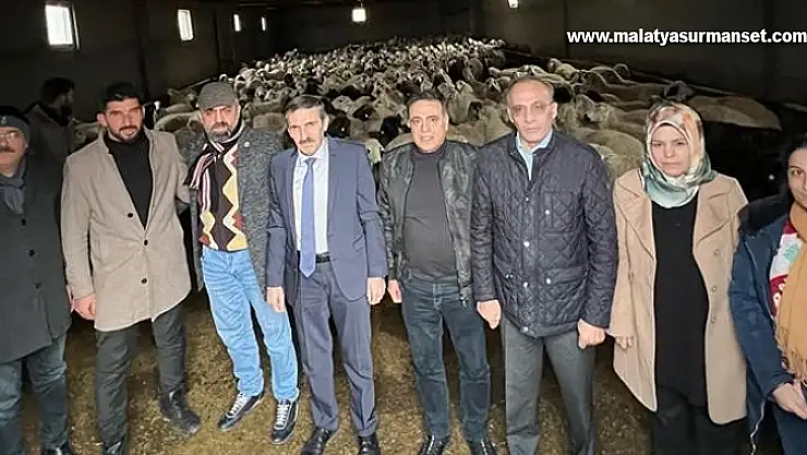 Malatya'da Akkaraman ırkı koyun yetiştiriciliği yaygınlaştırılıyor