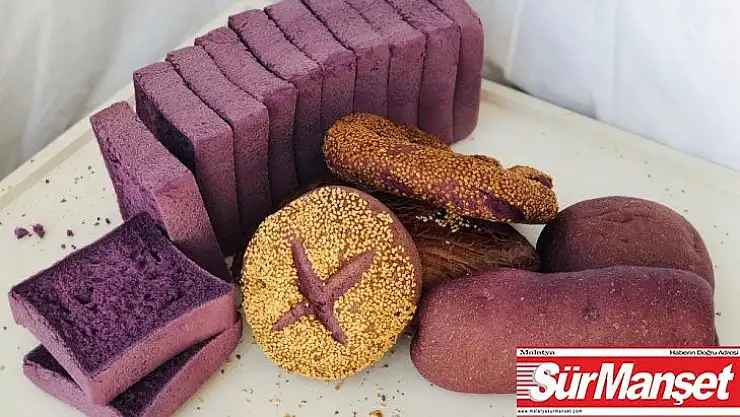 Malatya'da Antosiyaninli ürünler konferansı verilecek