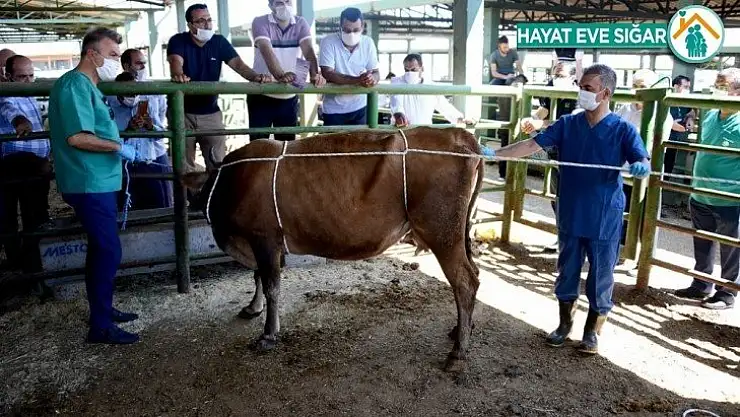 Malatya'da bayram öncesinde geçici pazarlar kurulmayacak